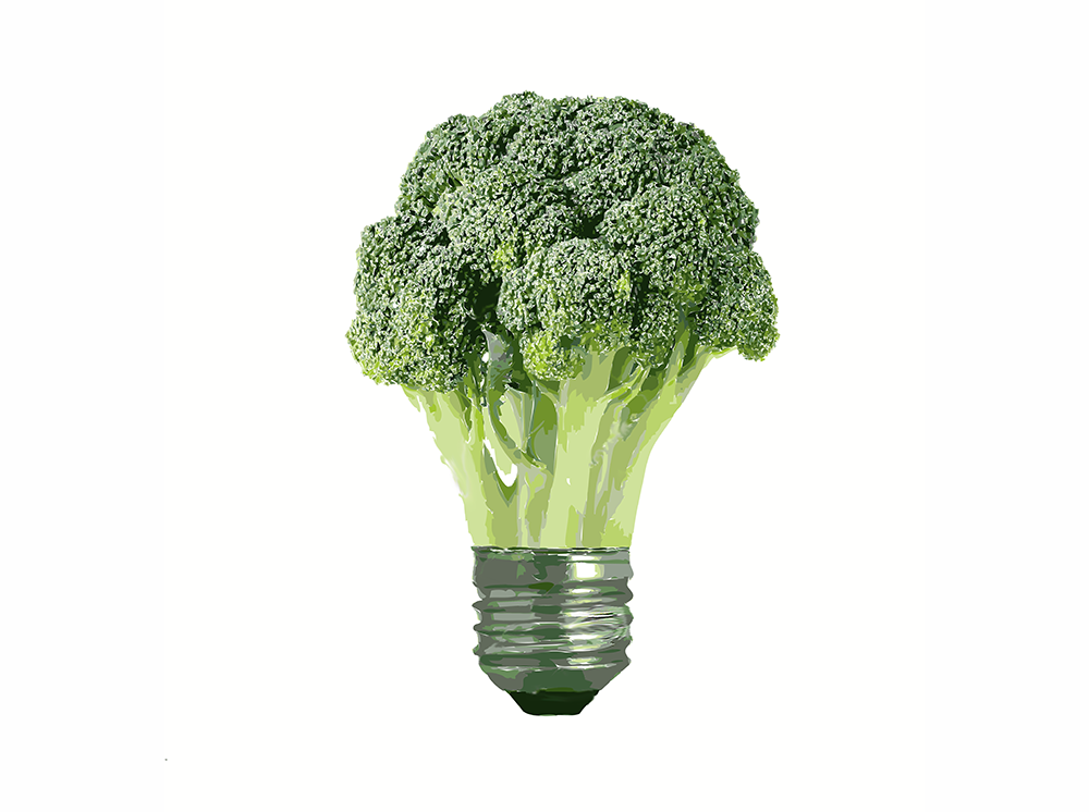 imagem de um brócolis em formato de lampada